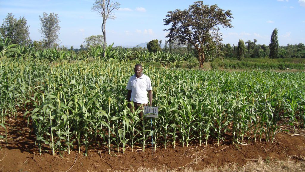 Kenya Value Chain Development EUCORD